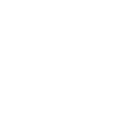 VISION icon